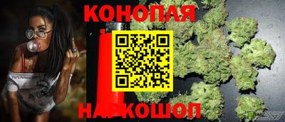 spice Пенза