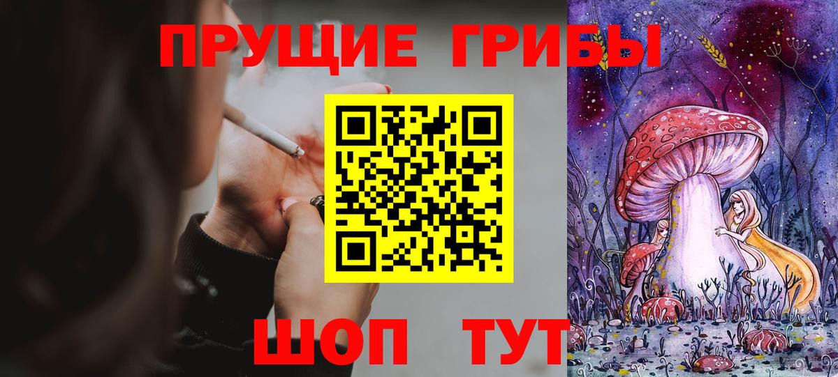 Галлюциногенные грибы GOLDEN TEACHER Светлоград