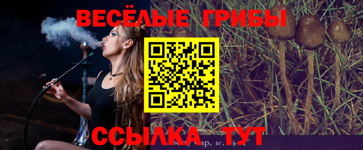 Светлоград  Псилоцибиновые грибы Magic Shrooms  Вход с VPN 
